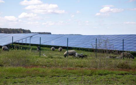 agrivoltaico