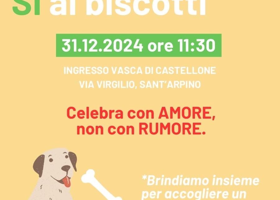 nobottisibiscotti1