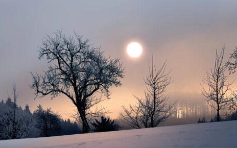 Solstizio d’Inverno: il giorno più corto dell’anno e le sue tradizioni millenarie 5 solstiziodinverno1