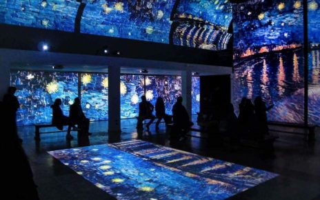 van gogh napoli 2 04524