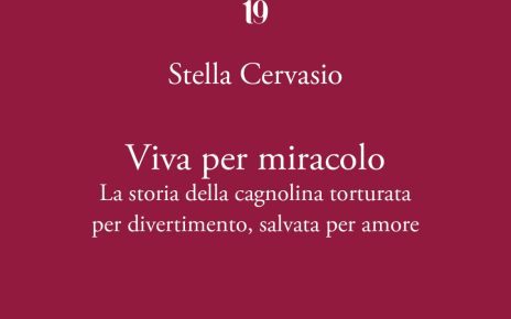 viva per miracolomod