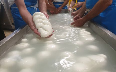 La piattaforma della tracciabilità del latte bufalino compie dieci anni: dal Dqa garanzie di trasparenza e imparzialità 3 20190611 123343 resized 1
