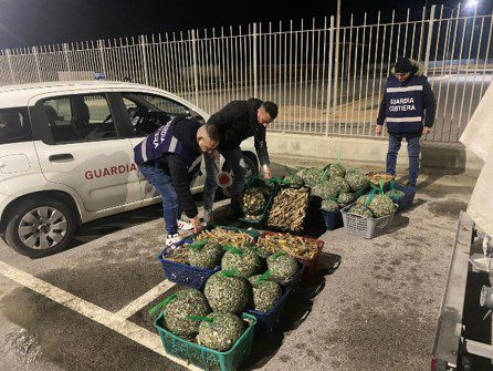 Torre del Greco, la Capitaneria di Porto a tutela dei consumatori 3 Capitaneria di Porto di Torre del Greco
