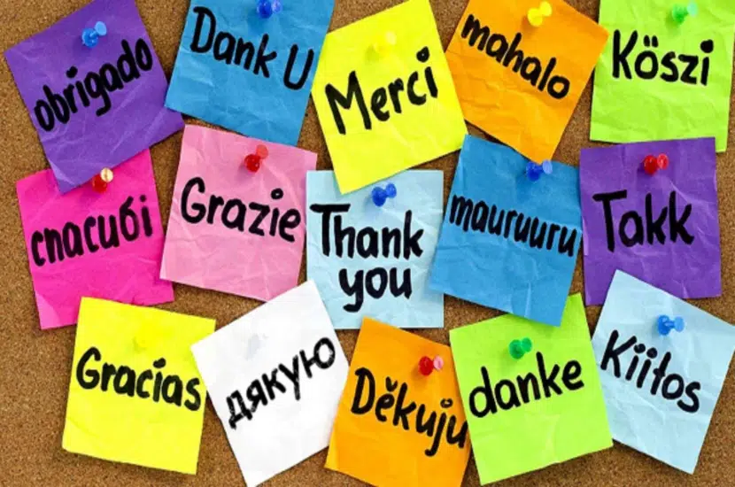 Journee mondiale du MERCI