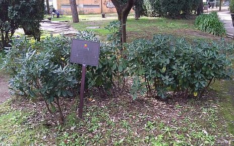 Napoli, Giorno della Memoria: targa da ripristinare nel Parco Mascagna 6 Napoli parco Mascagna la targa dedicata al bambino Sergio De Simone nel 2007
