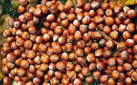 Frutta secca made in Campania, più tutela con l'etichetta trasparente 3 Nocciole