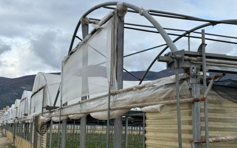 Maltempo, sblocco fondo assicurazioni è risposta a migliaia di aziende agricole dopo mobilitazione Coldiretti 4 Serra divelta