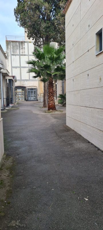 WhatsApp Image 2025 01 15 at 14.12.53 1