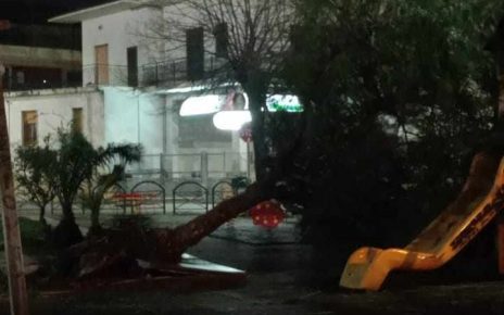 Marigliano travolta dal vento: alberi sradicati e calcinacci in caduta 3 alberocadutomarigliano