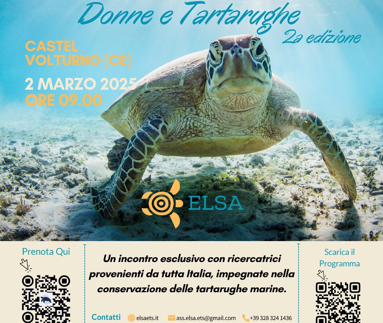 Donne e Tartarughe ELSA