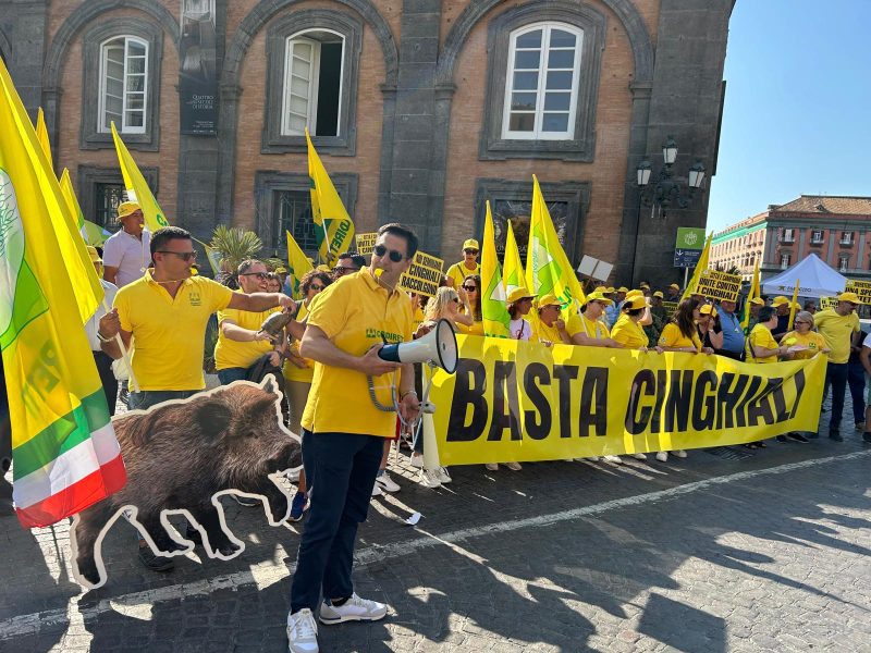 Giuseppe Miselli direttore Coldiretti Caserta 2 1