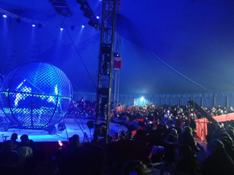 Napoli, 400 bambini gratis al grande spettacolo del Circo 2 a0b9e8e0 795b 4fe2 a658 1334856fd0ac