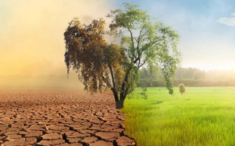 Lombardia, l'Ordine dei Geologi interviene sul tema dell'impatto dei cambiamenti climatici in agricoltura 7 cambiamento climatico agricoltura