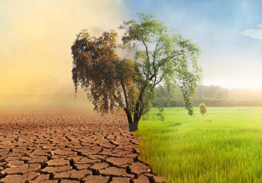 cambiamento climatico agricoltura