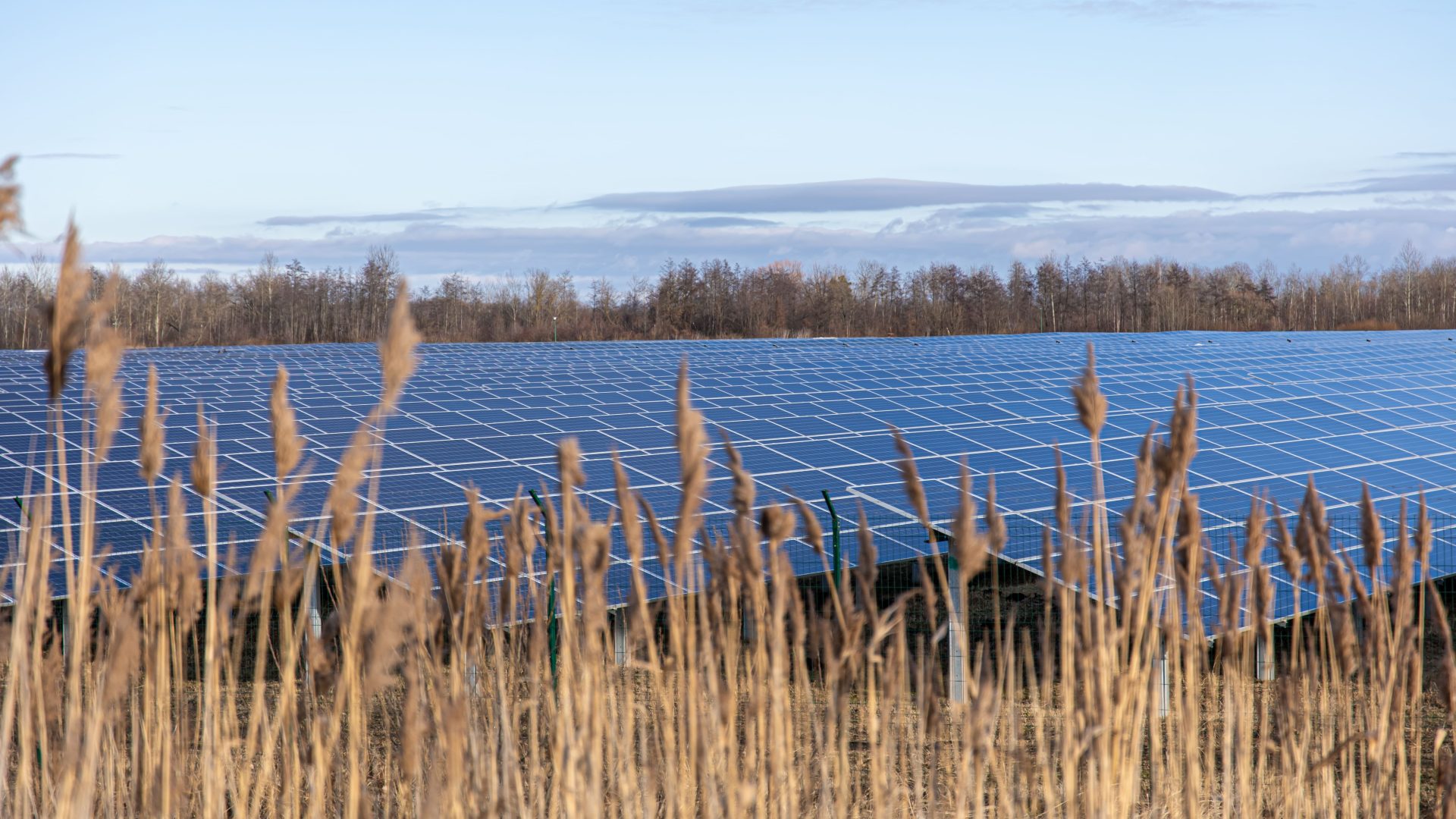 electric farm with panels producing clean ecologic energy 3