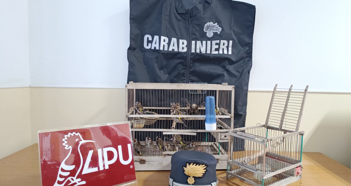 foto del 21 2 2025