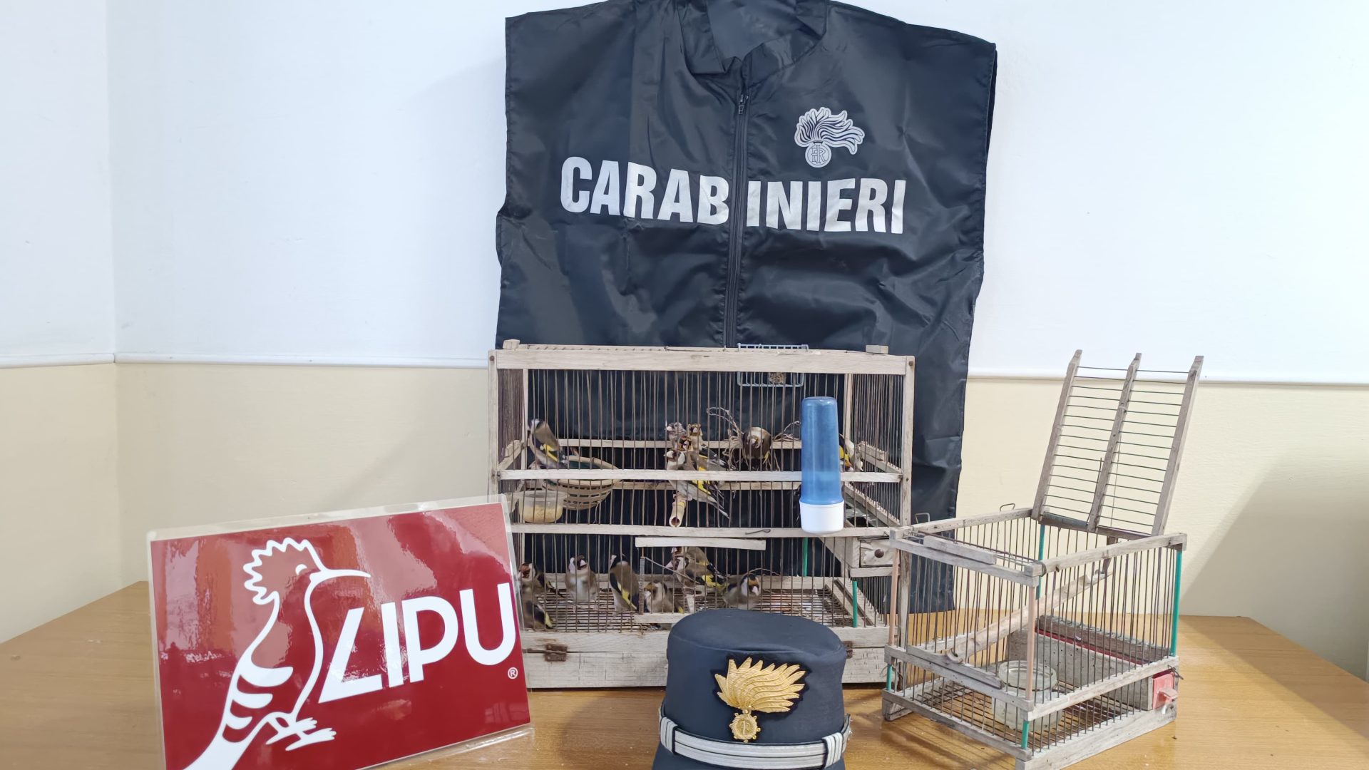 foto del 21 2 2025