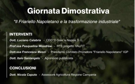 Marigliano, "Il friariello napoletano e la trasformazione industriale": al via il convegno dei prodotti tipici locali 4 friariello
