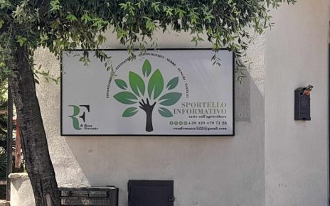 Palma Campania, lo Sportello Informativo di Rosa Ferrante: un faro per Imprenditori e Artigiani 6 sportello informativo11