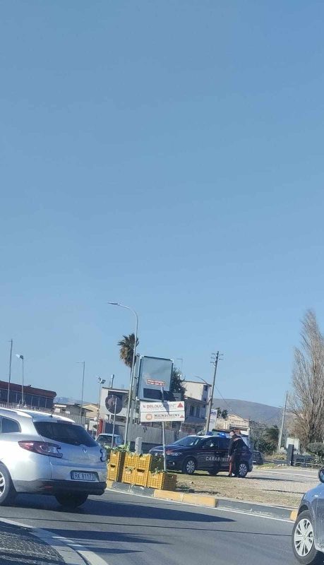 Marigliano, rotonda invasa dai cavolfiori: camion perde il carico e manda in tilt il traffico 3 481920807 1303698467605414 6154088072503062051 n