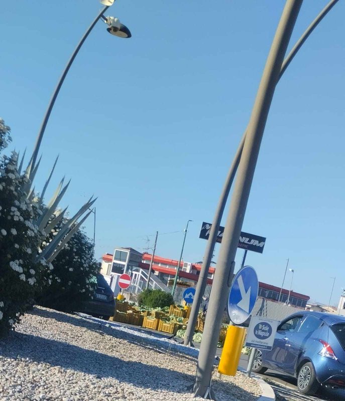 Marigliano, rotonda invasa dai cavolfiori: camion perde il carico e manda in tilt il traffico 4 482263621 990022905855597 5758933250279112929 n