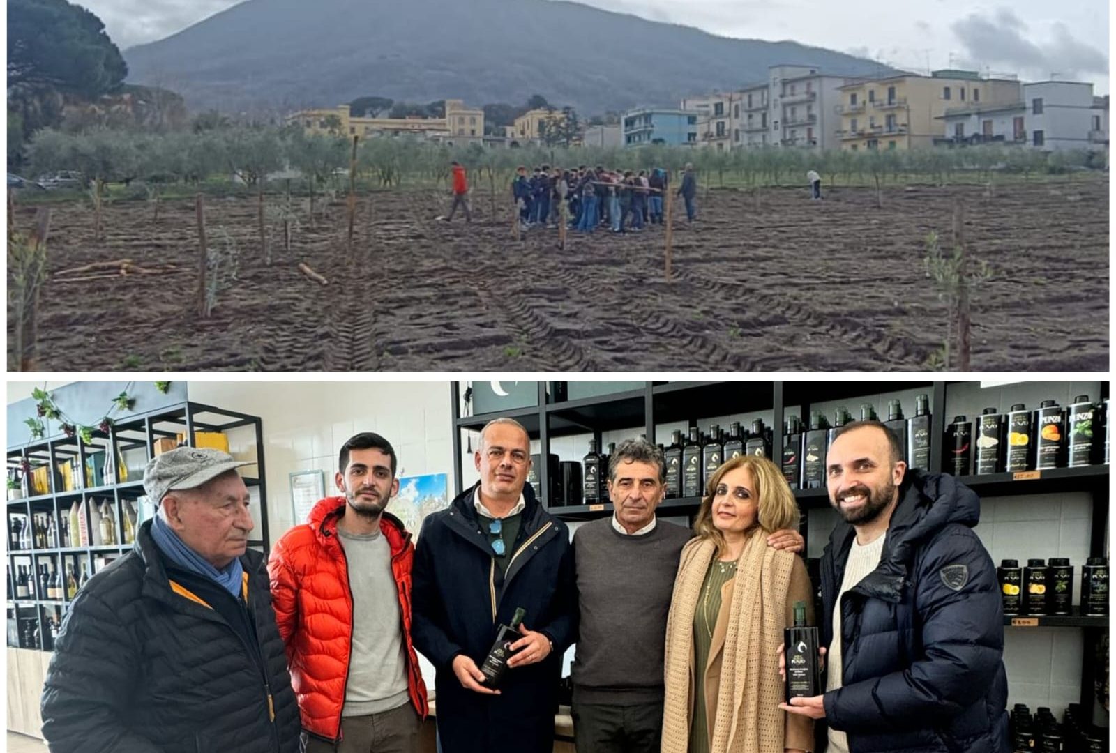 Visita oleificio