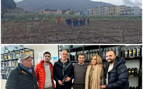 Visita oleificio