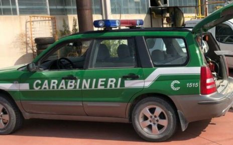 Brusciano, sequestrata discarica abusiva: rifiuti speciali e autocarro rottamato tra i cumuli 3 carabinieri forestale
