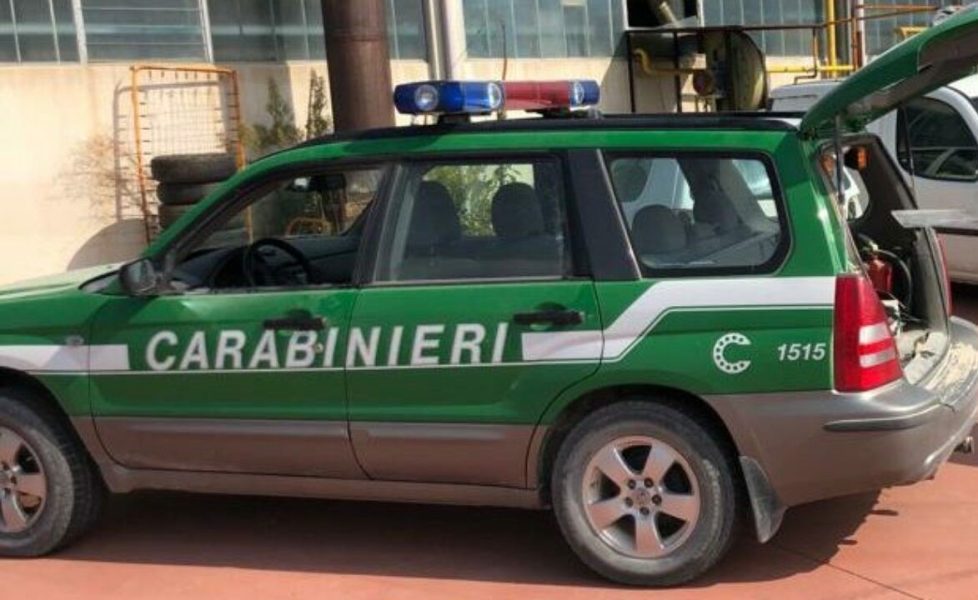 carabinieri forestale