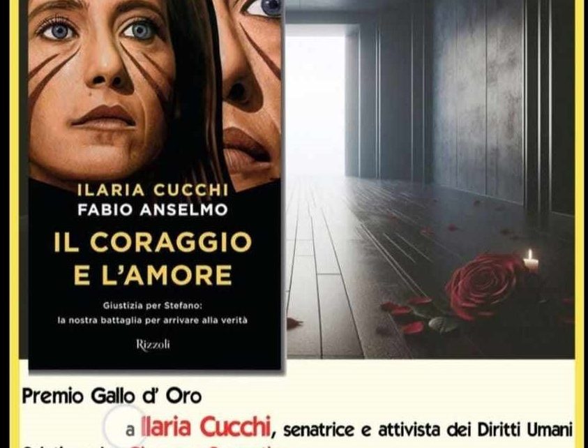 cucchi