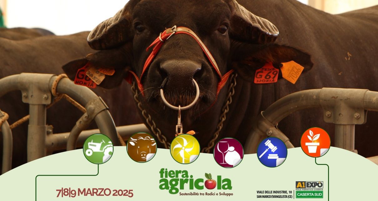 fieraagricola