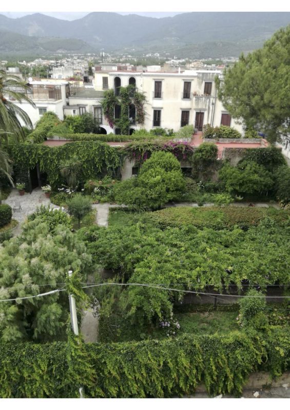 Giornate FAI di Primavera 2025: il Gruppo FAI di Nola apre Palazzo Nucci e l’Ulivo Millenario a Cicciano 4 giardino Nucci