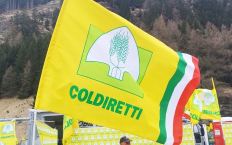 Bandiera Coldirettimod