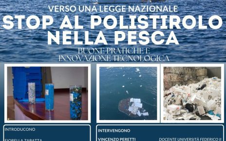 Napoli, stop al polistirolo nella pesca: se ne discute a Piazza Monteoliveto 3 Locandina 73
