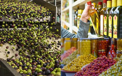 Piano olivicolo e zootecnico: Coldiretti Avellino riunisce istituzioni e mondo accademico ad Ariano Irpino 4 da olive a olio di oliva e olive da mensa