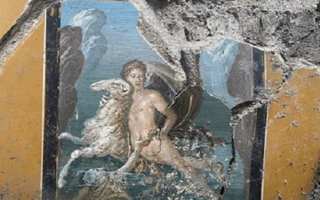 Pompei, tra lapilli e silenzi: la vita interrotta nella casa di Elle e Frisso 7 ellio
