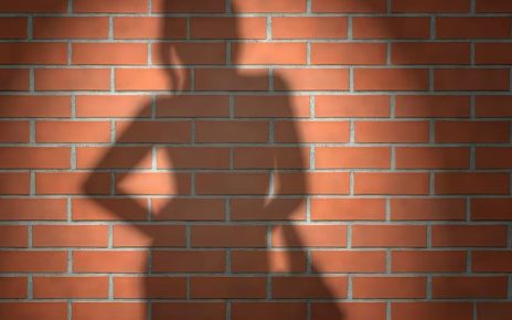 Prostituzione fiscalmente riconosciuta: è bufera sul nuovo codice Ateco 4 escort1