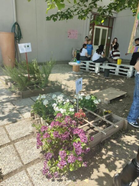 Marigliano, Festa di Primavera alla Pacinotti con il laboratorio di comunità 7 3145bb49 1415 4d69 aa03 7a410a380e16 scaled