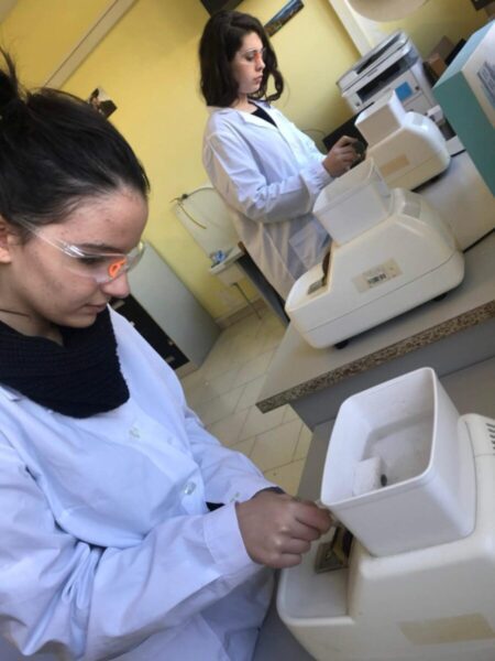Marigliano, Gara Nazionale 20242025 Indirizzo Ottico: l'Isis Montalcini Levi Ferraris ospita le gare del settore. Trionfano tre studenti 6 7cdfe6d3 3ff2 4205 b7ea 5358afef163d scaled