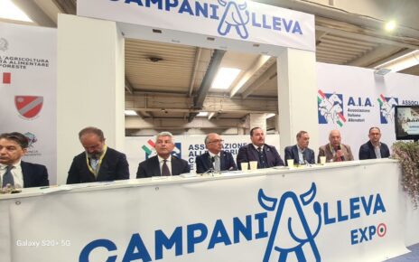 Campania Alleva unomod