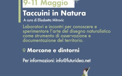 Morcone, disegno naturalistico per l’educazione ambientale: arriva in città il workshop di Elisabetta Mitrovic per il ciclo di incontri del Rural Lab “Siamo Natura” 5 Copertina Mitrovic