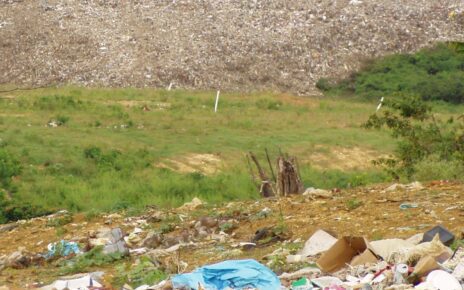Ambiente, Progetto VESUNA: contro I siti contaminati arrivano le “Super Piante” 6 discarica 0