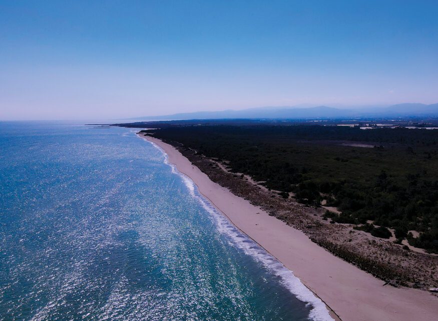 mare metapontino scanzano jonico policoro pineta spiaggia erosione foto drone pizzolla