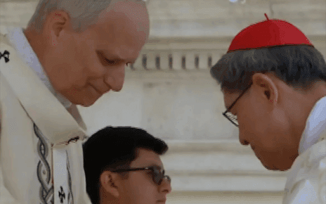 “L’ora dell’amore”: inizia il Pontificato di Papa Leone XIV tra emozione e speranza 5 papaleone insediamento