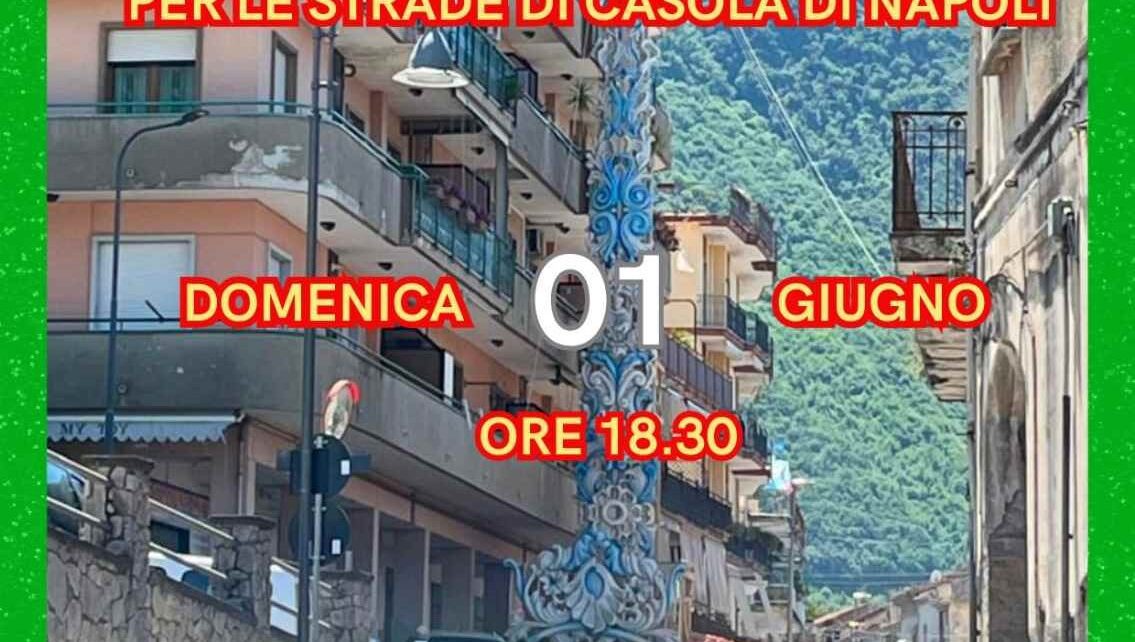 pattodamicizia