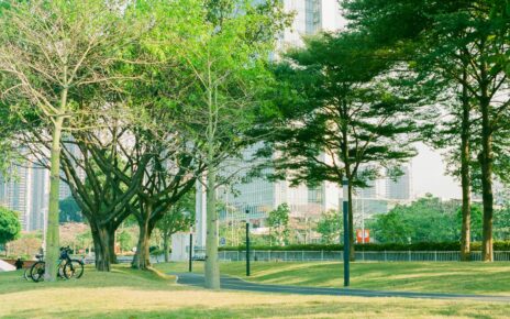 Manutenzione del verde pubblico: sfide e soluzioni moderne 3 sciscianonotizie.it boels foto