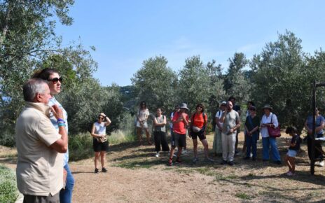 Anacapri città dell'Olio inizia l'estate all'insegna della Merenda nell'Oliveta 8 643d1b5f 62aa 300f 056b 207daed596bd
