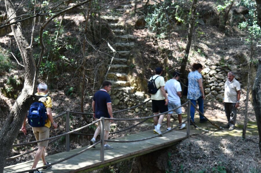 Anacapri città dell'Olio inizia l'estate all'insegna della Merenda nell'Oliveta 3 90201332 ac64 52e5 afaf 93899321c6d7