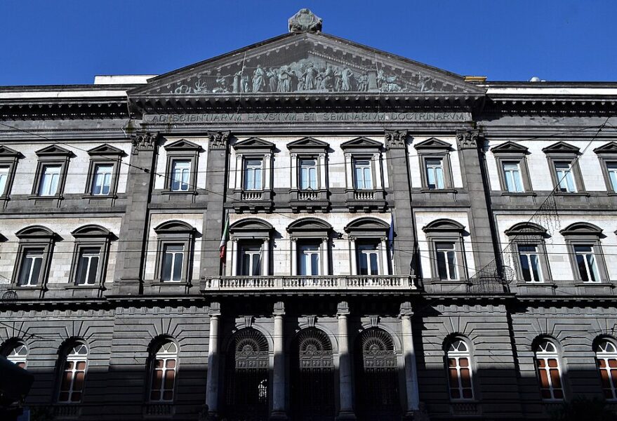 Universita degli Studi di Napoli Federico II 3542