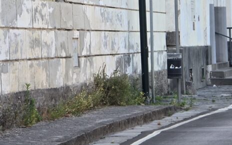 Portici, da centrodestra un avviso di sfratto per l’assessora Verde 6 erbacce11